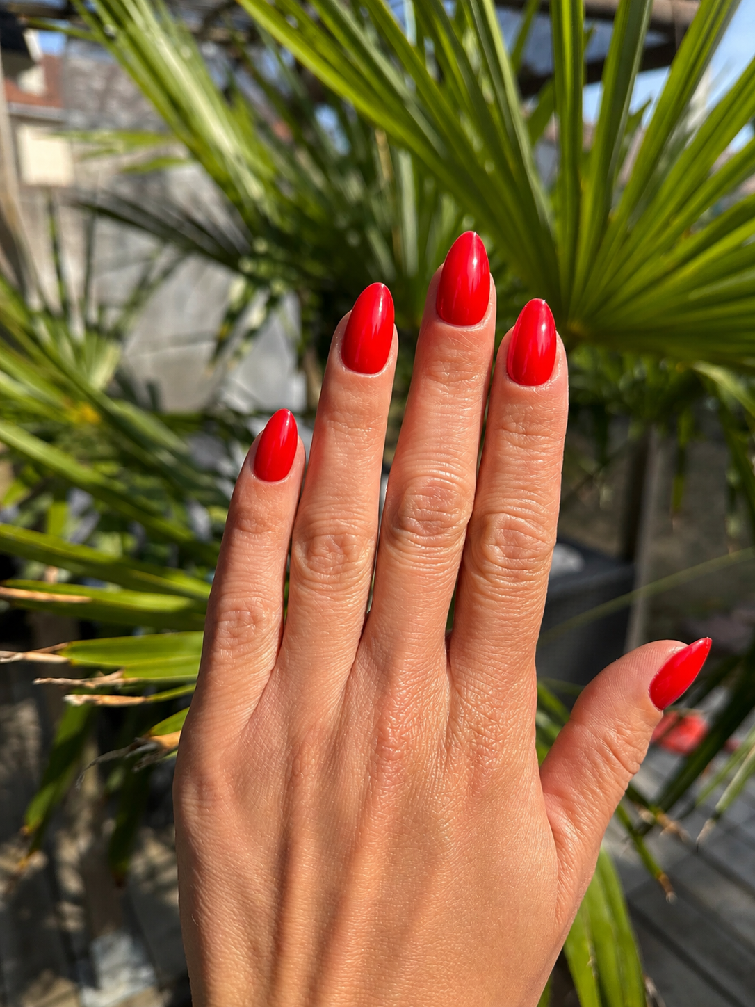 Rouge vif