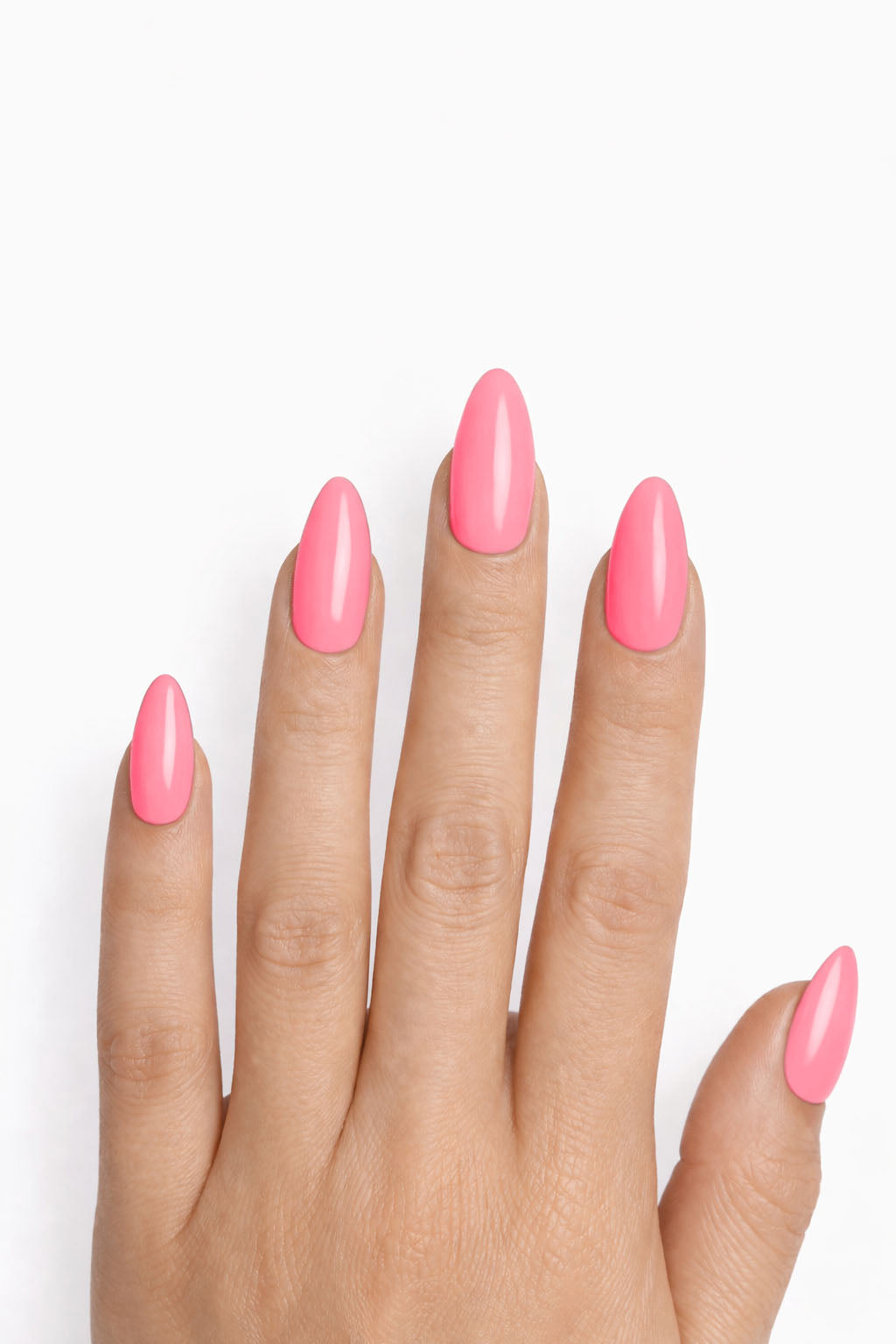 Rose corail