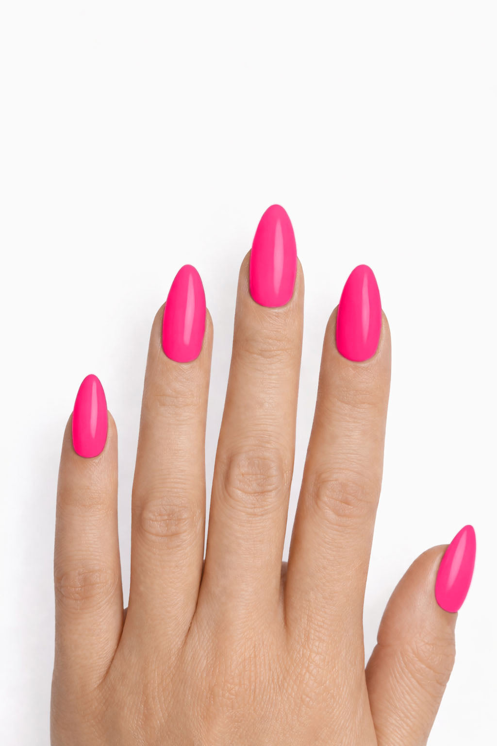 Fuchsia néon