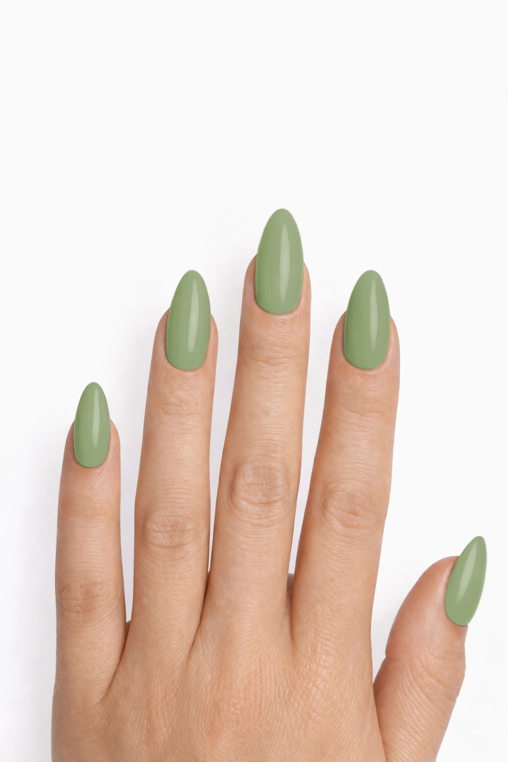 Vert olive