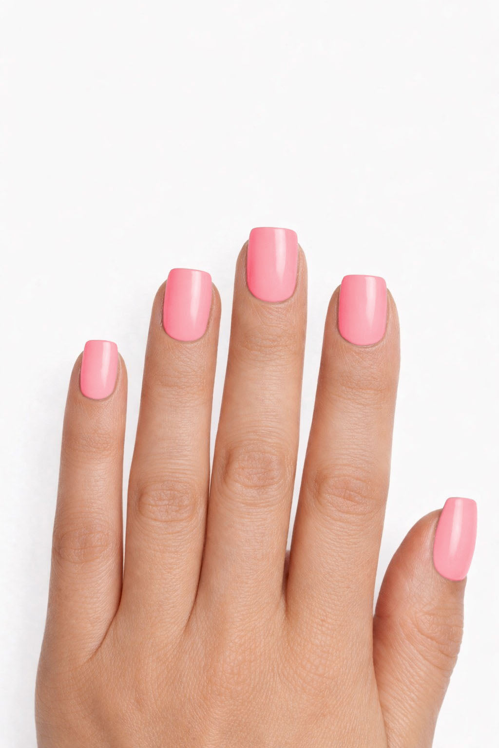 Rose corail