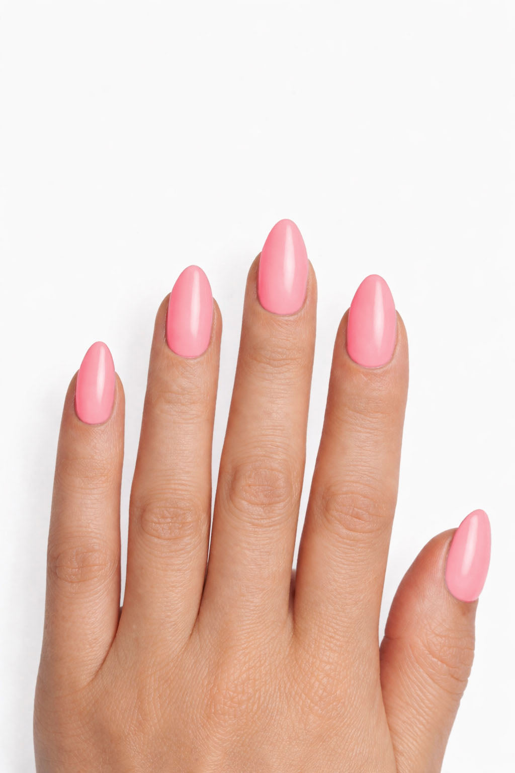 Rose corail