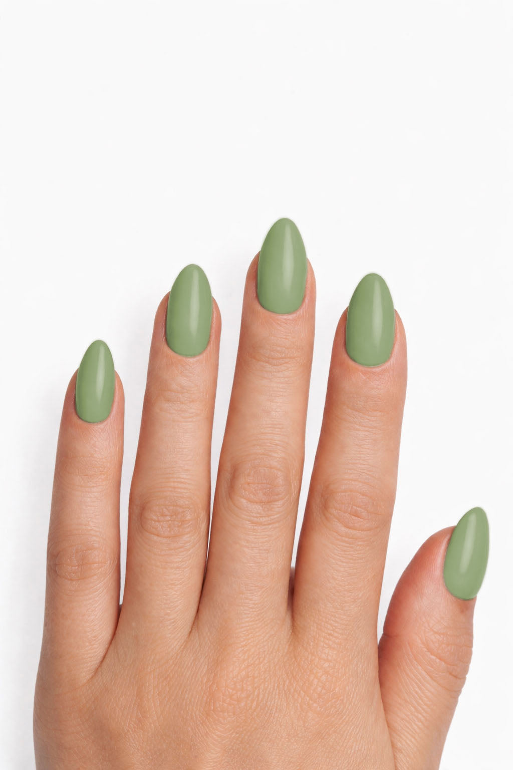 Vert olive