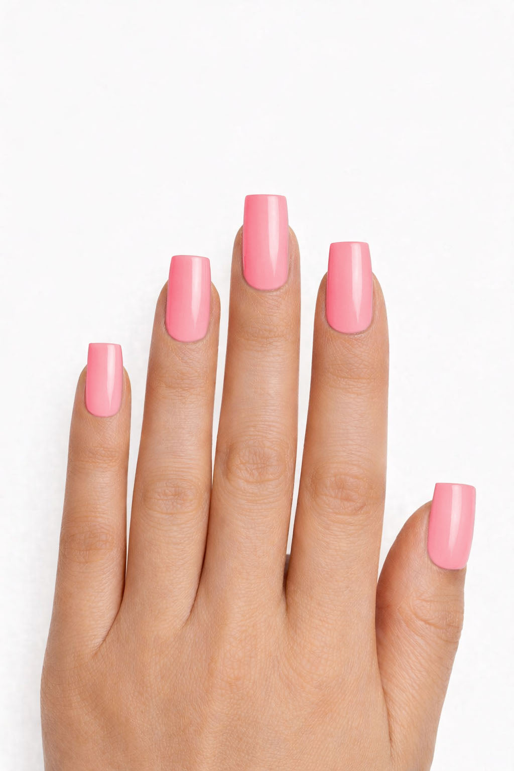 Rose corail