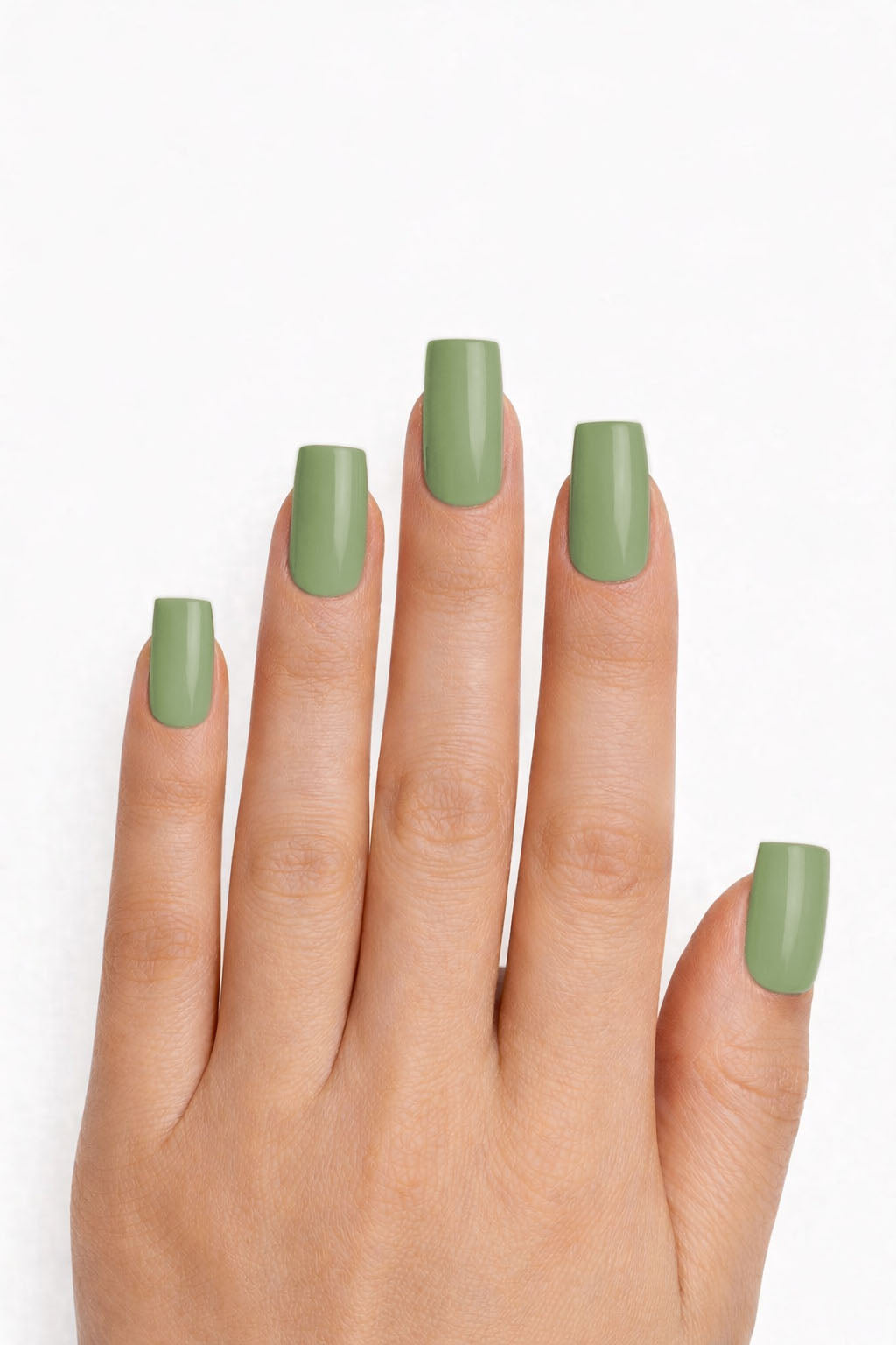 Vert olive