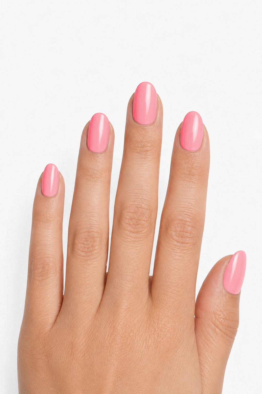 Rose corail